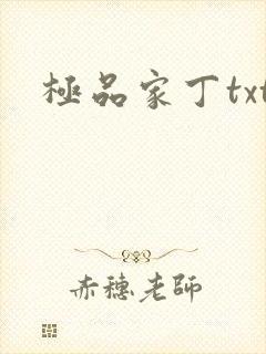 极品家丁txt