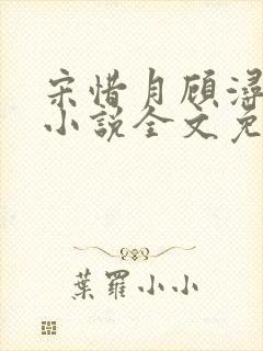 宋惜月顾浔渊的小说全文免费阅读