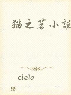 猫之茗小说