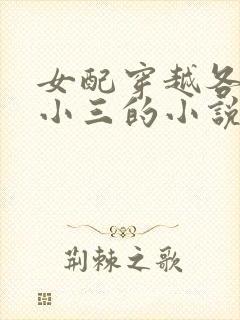 女配穿越各个做小三的小说