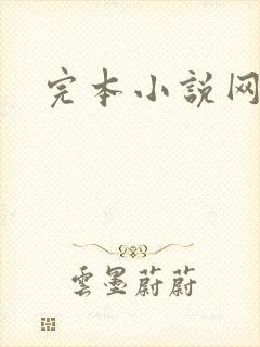 完本小说网封面