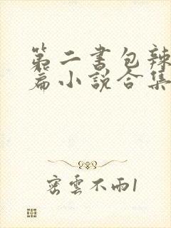 第二书包辣网短篇小说合集