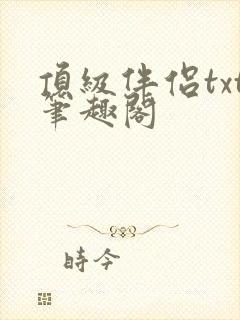 顶级伴侣txt笔趣阁