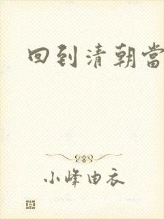 回到清朝当王爷