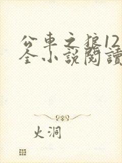 公车之狼12集全小说阅读