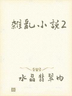 杂乱小说2