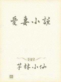 爱妻小说