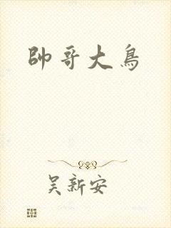 帅哥大鸟