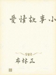 爱情故事小说