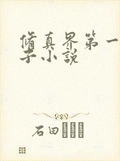 修真界第一病秧子小说