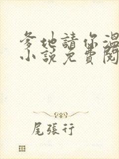 爹地请你温柔点小说免费阅读