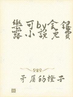 乐可by金银花露小说免费阅读封面