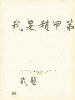 我是赵甲第小说