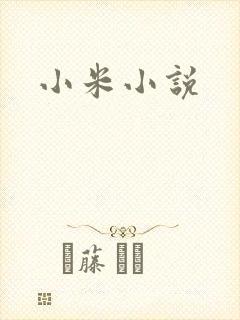 小米小说