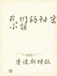 我们的秘密泰剧小说