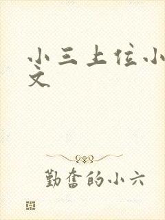 小三上位小说全文封面