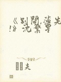 《别闹,薄先生!》沈繁星封面