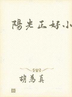 阳光正好小说封面