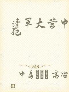 清军大营中的女犯