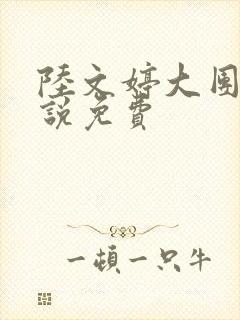 陆文婷大团圆小说免费