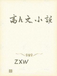 高h文小说