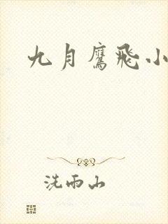 九月鹰飞小说