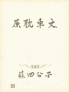 原耽车文封面