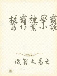 校霸被学霸压着写作业小说封面