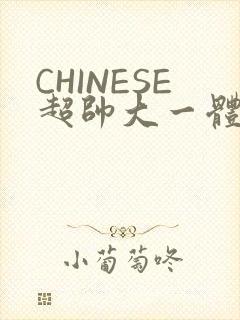 CHINESE超帅大一体育系精牛