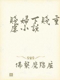 贱妇下贱重口玩虐小说封面