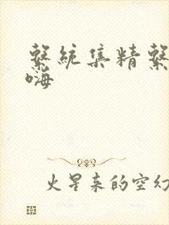 系统集精系统高嗨