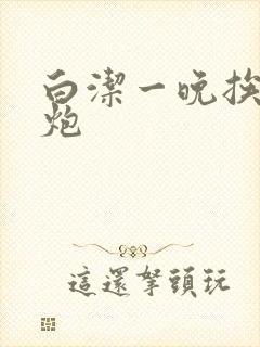 白洁一晚挨十二炮封面