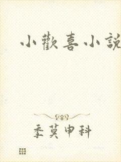 小欢喜小说封面