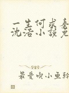 一生何求秦菲雪沈浩小说免费阅读全文封面