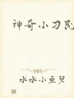 神奇小刁民