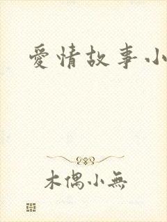 爱情故事小说封面