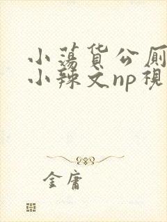 小荡货公厕h文小辣文np视频