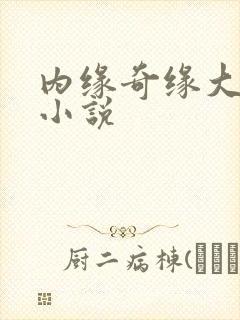 内缘奇缘大团圆小说