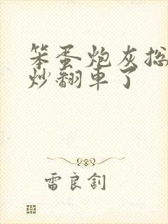 笨蛋炮灰总被爆炒翻车了