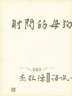 财阀的母狗们