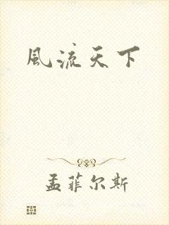 风流天下封面