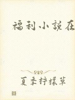 福利小说在线封面
