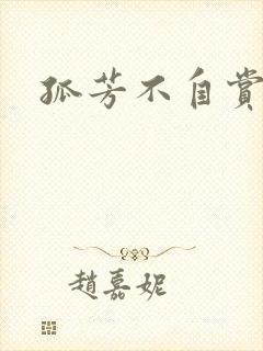 孤芳不自赏小说封面
