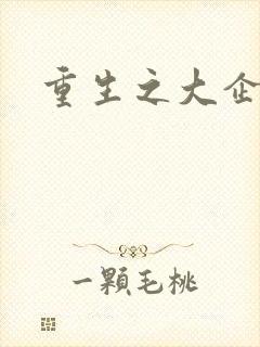 重生之大企业家