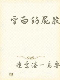 雪白的屁股小说