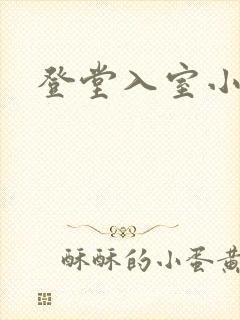 登堂入室小说