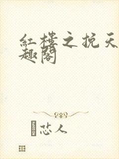 红楼之挽天倾笔趣阁