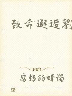 致命邂逅刘小寐