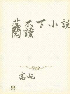 落不下小说全文阅读