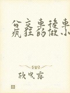 公交车后车座的疯狂的做小